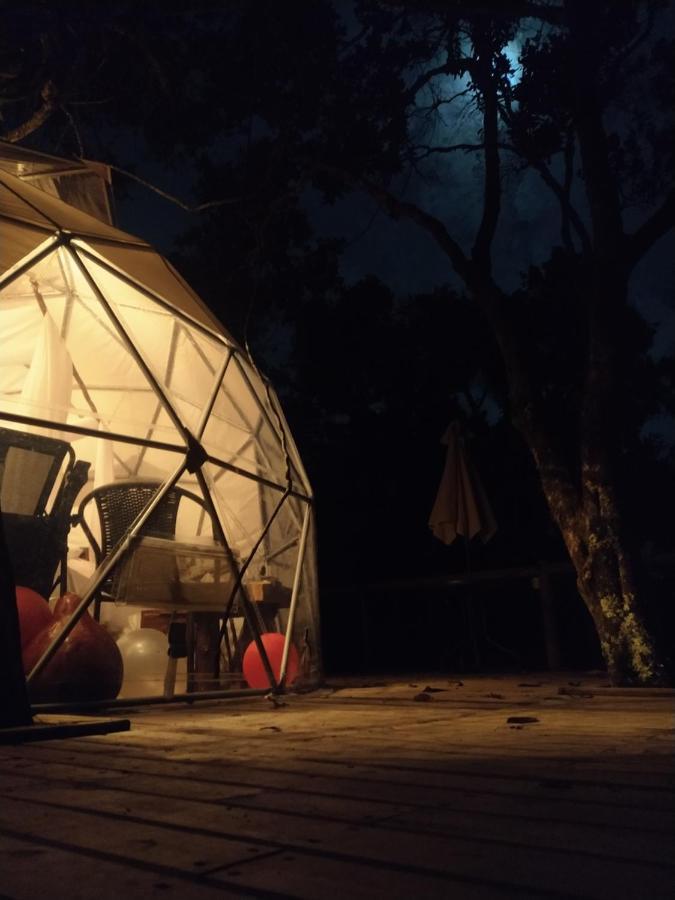 Celeste Glamping Guatape酒店 外观 照片