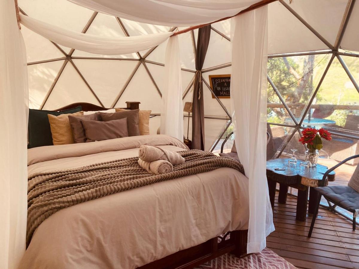 Celeste Glamping Guatape酒店 外观 照片