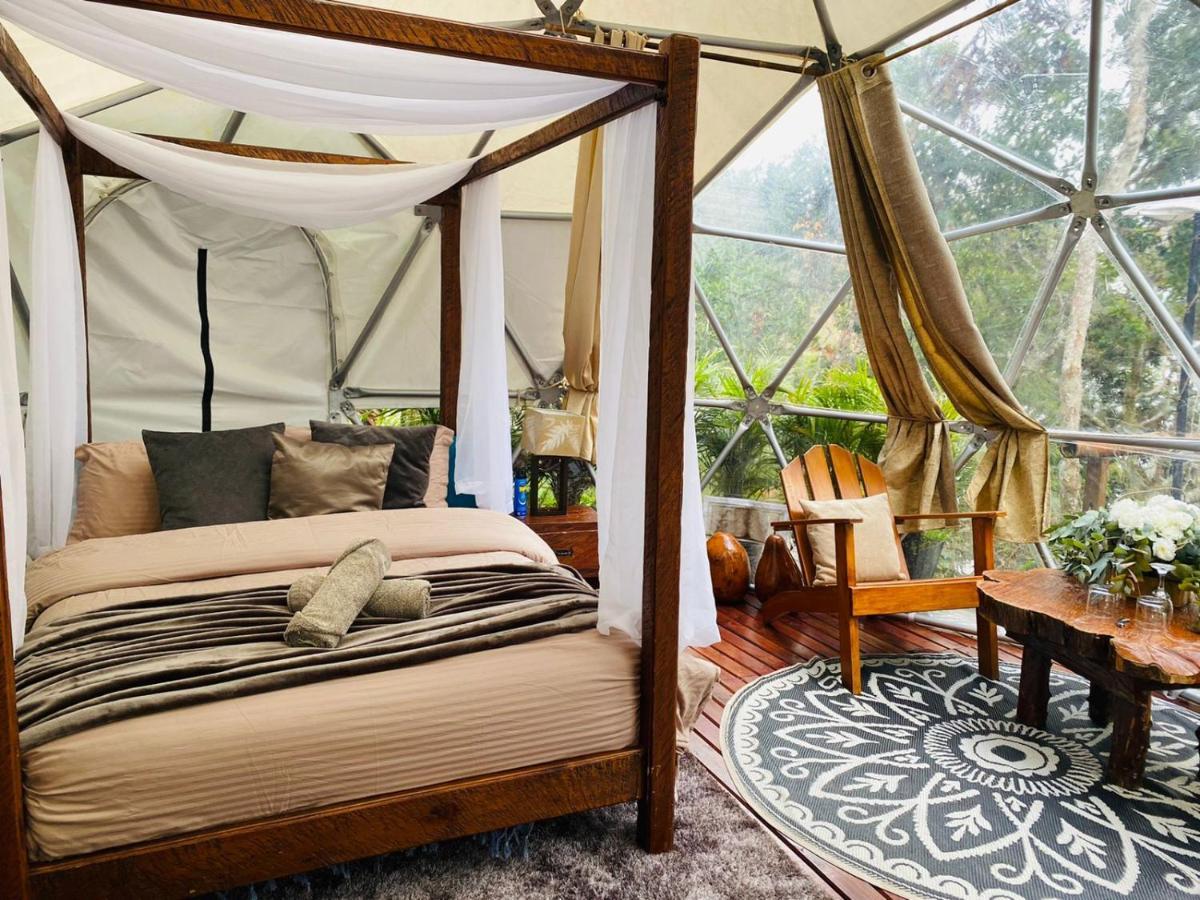 Celeste Glamping Guatape酒店 外观 照片